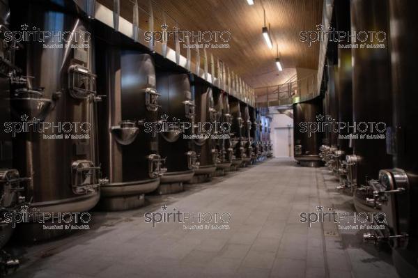 France, Gironde, Saint-Etienne-de-Lisse, Cuves en inox irisé du fabricant Defranceschi au Château Fleur de Lisse, Vignobles Jade, Saint-Emilion Grand Cru, Vignoble Bordelais (220427_Cephas_29.jpg)