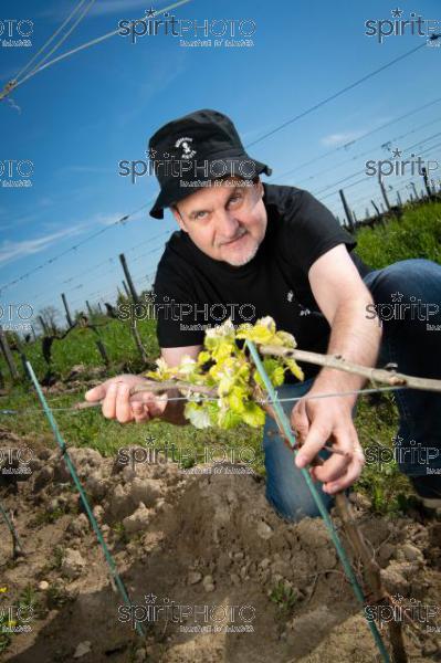 France, Gironde, Saint-Pierre-de-Mons, Jean-Baptiste Duquesne, propriétaire du Chateau Cazebonne, Vins en Biodynamie à partir de cépages oubliés, Collectif Bordeaux Pirate, Vignoble Bordelais (220427_Cephas_54.jpg)