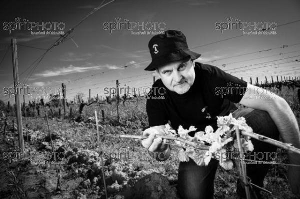 France, Gironde, Saint-Pierre-de-Mons, Jean-Baptiste Duquesne, propriétaire du Chateau Cazebonne, Vins en Biodynamie à partir de cépages oubliés, Collectif Bordeaux Pirate, Vignoble Bordelais (220427_Cephas_57.jpg)