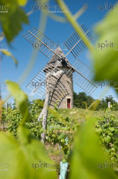 Moulin de Loupiac-Gironde (330211.jpg)