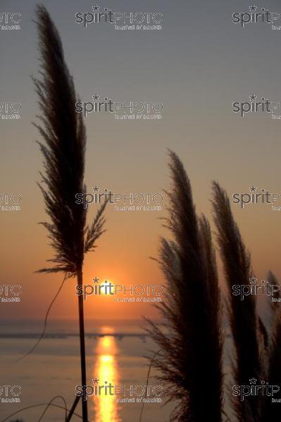 Coucher de soleil-Cap Ferret (AB_00162.jpg)