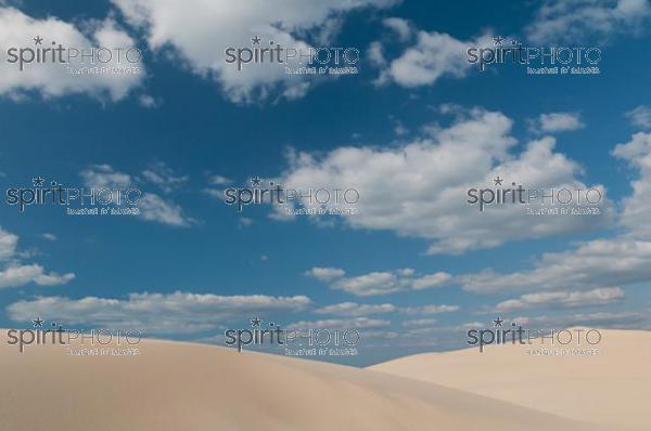 Bassin Arcachon - Dune du Pyla (AB_00177.jpg)
