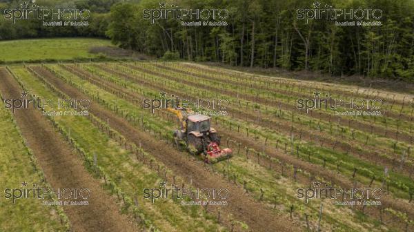 Aerial shot of a tractor working on vineyard (BWP_00043.jpg)