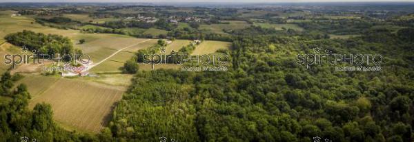 Aerial of flying over a beautiful green forest in a rural landscape, Gironde (BWP_00059.jpg)