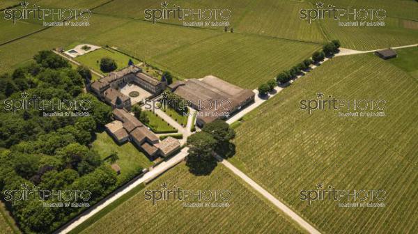 Aerial view Montagne Saint-Emilion, Aquitaine, Bordeaux Wineyard (BWP_00066.jpg)