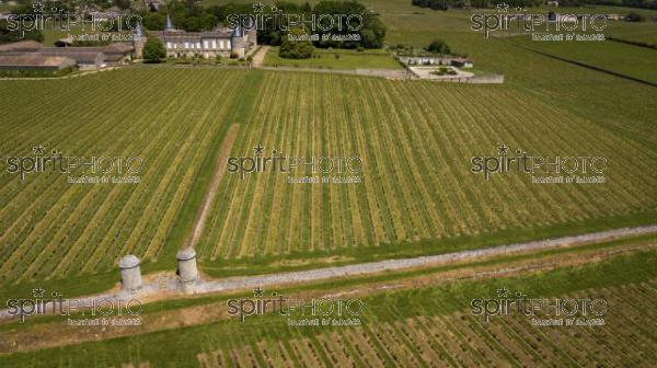 Aerial view Montagne Saint-Emilion, Aquitaine, Bordeaux Wineyard (BWP_00068.jpg)