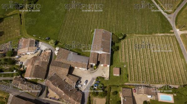 Drone Vignoble Silvestrini Mai 2018 (BWP_00069.jpg)
