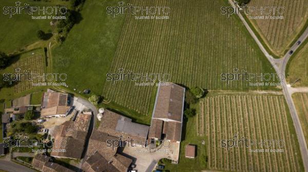 Drone Vignoble Silvestrini Mai 2018 (BWP_00070.jpg)