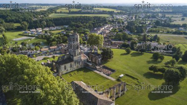 Aerial view Abbey de la Sauve-Majeure, Route to Santiago de Compostela, France, UNESCO (BWP_00101.jpg)