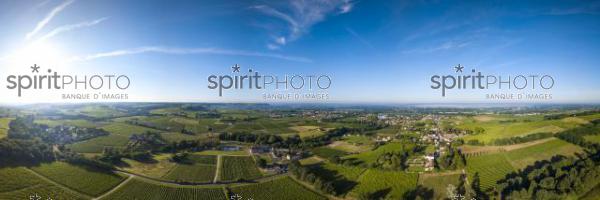 Aerial view, Bordeaux vineyard, landscape vineyard south west of france (BWP_00449.jpg)