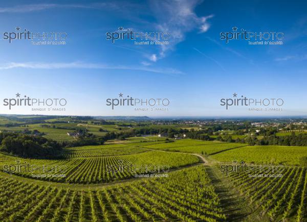Aerial view, Bordeaux vineyard, landscape vineyard south west of france (BWP_00451.jpg)