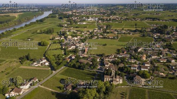 Aerial view, Bordeaux vineyard, landscape vineyard south west of france (BWP_00458.jpg)
