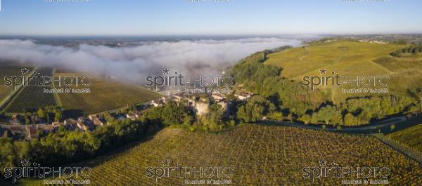 Aerial view Bordeaux Vineyard at sunrise, Entre deux mers, Langoiran, Gironde (BWP_00491.jpg)