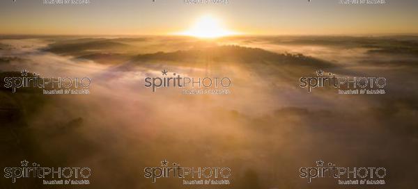 Aerial view, Bordeaux vineyard, landscape vineyard and fog at sunrise (BWP_00495.jpg)