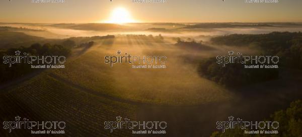 Aerial view, Bordeaux vineyard, landscape vineyard and fog at sunrise (BWP_00496.jpg)