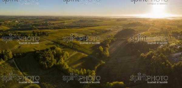 Aerial view Bordeaux Vineyard at sunrise, Entre deux mers, Langoiran, Gironde (BWP_00498.jpg)