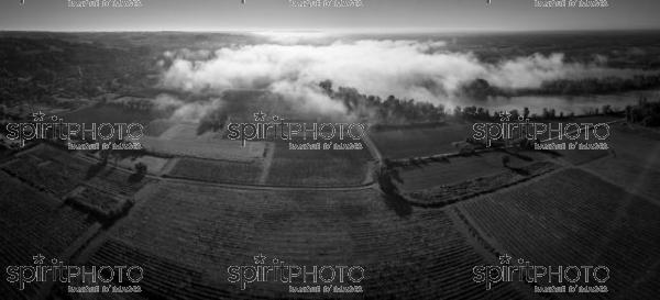 Aerial view Bordeaux Vineyard at sunrise, Entre deux mers, Langoiran, Gironde (BWP_00503.jpg)