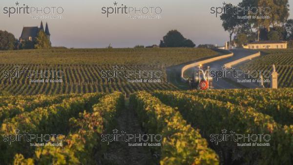 Route des Chateaux, Vineyard in Medoc, amous wine estate of Bordeaux wine (BWP_00505.jpg)