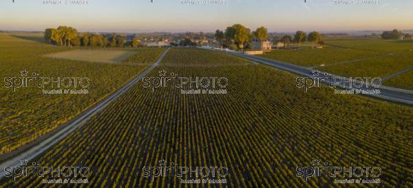 Route des Chateaux, Vineyard in Medoc, amous wine estate of Bordeaux wine (BWP_00513.jpg)