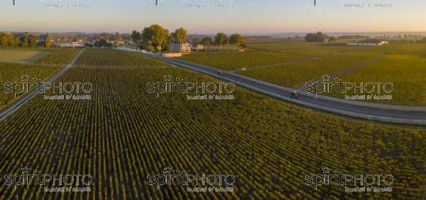Route des Chateaux, Vineyard in Medoc, amous wine estate of Bordeaux wine (BWP_00515.jpg)