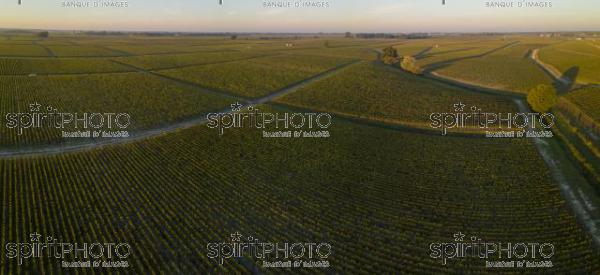 Route des Chateaux, Vineyard in Medoc, amous wine estate of Bordeaux wine (BWP_00516.jpg)