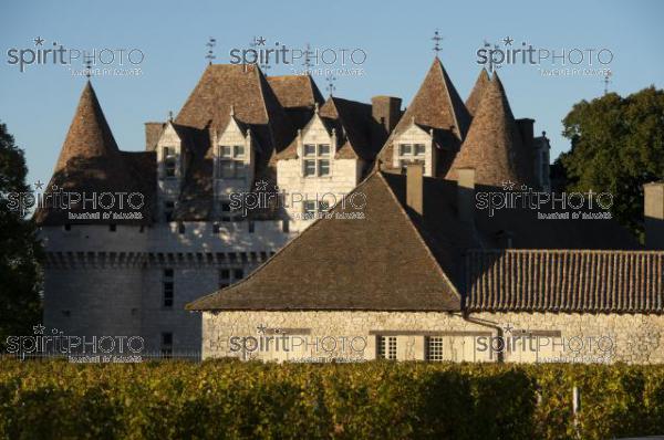 The castle of Monbazillac, historical monument, Sweet botrytized wines have been made in Monbazillac (BWP_00588.jpg)