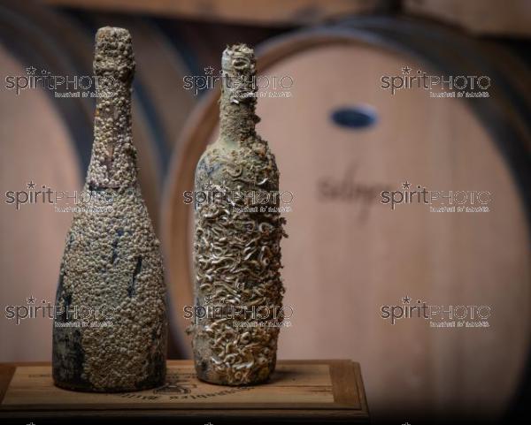GIRONDE (33), SAINT-CIERS-SUR-GIRONDE,DOMAINE DU CASSARD, CUVEE MARINE  VIGNOBLE BORDELAIS, Eric BILLIERES, VITICULTEUR, SOMMELIER est un passionné toujours à la recherche d’évolution pour améliorer la qualité de ses vins ou sortir des chemins conventionnels. Sa dernière création « bouteilles à la mer » : une partie de sa production de vin blanc élevée dans la mer pendant 8 mois.« Ce vieillissement en mer amène une certaine rondeur et un léger goût iodé. C’est idéal pour accompagner une assiette de fruits de mer. » (CEPHAS_JBNADEAU_013.jpg)