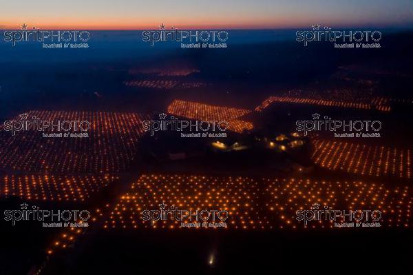 Candles burning in vineyard during sub-zero temperatures of 7 April 2021. Pomerol. Gironde, France. [Pomerol / Bordeaux] (DJI_0014.jpg)