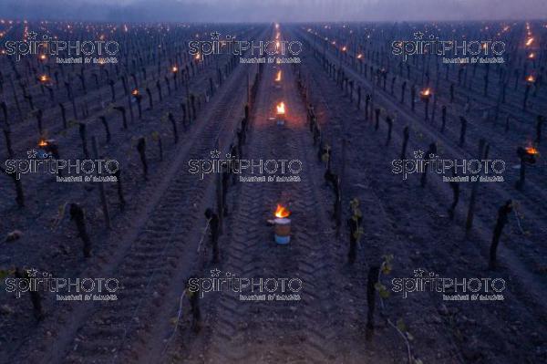 Aerial view, Candles burning in vineyard during sub-zero temperatures of 7 April 2021. Pomerol. Gironde, France. [Pomerol / Bordeaux] (DJI_0034.jpg)