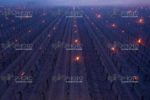 Aerial view, Candles burning in vineyard during sub-zero temperatures of 7 April 2021. Pomerol. Gironde, France. [Pomerol / Bordeaux] (DJI_0035.jpg)