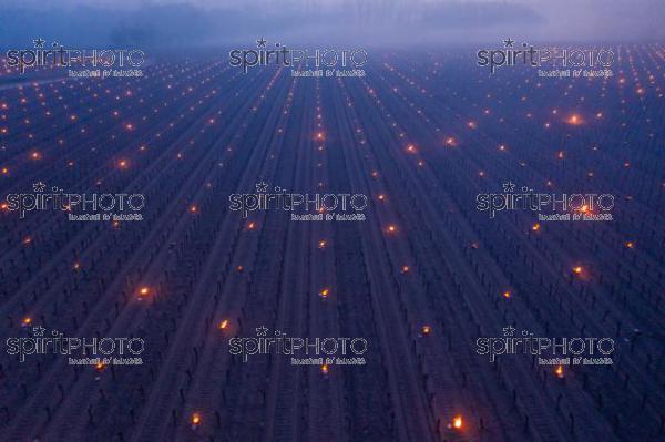 Aerial view, Candles burning in vineyard during sub-zero temperatures of 7 April 2021. Pomerol. Gironde, France. [Pomerol / Bordeaux] (DJI_0036.jpg)