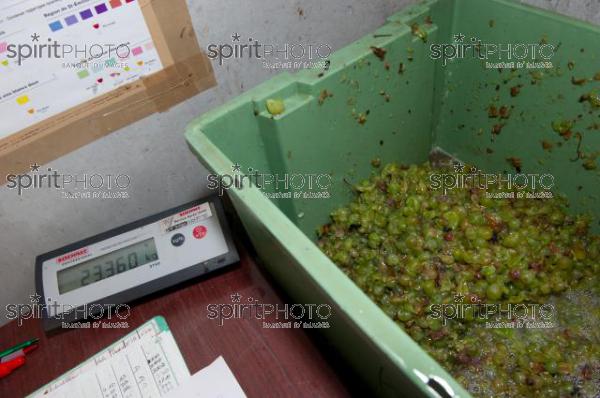 DGCCRF Bordeaux-Analyse Vin-Micro-Cuves (JBNADEAU_00455.jpg)