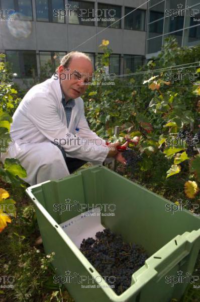 DGCCRF Bordeaux-Analyse Vin-Micro-Cuves (JBNADEAU_00490.jpg)