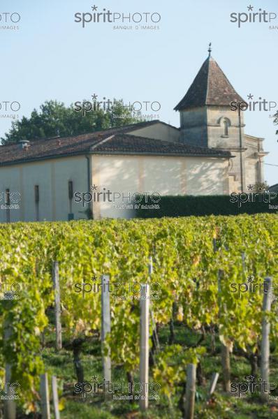 Pomerol-Clos l'Eglise (JBNADEAU_00545.jpg)