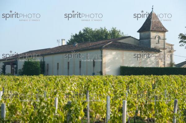 Pomerol-Vendanges 2010-Clos l'Eglise (JBNADEAU_00546.jpg)