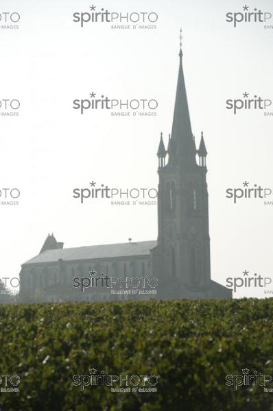 Pomerol-Eglise dans le Brouillard (JBNADEAU_00548.jpg)