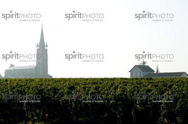 Pomerol-Eglise dans le Brouillard (JBNADEAU_00549.jpg)