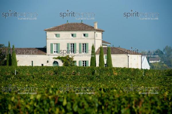 Pomerol-Vendanges 2010- (JBNADEAU_00551.jpg)