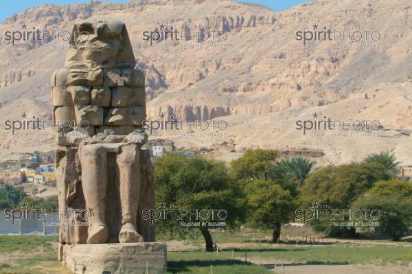 Egypte-Colosse de Memmon (JBNADEAU_00712.jpg)