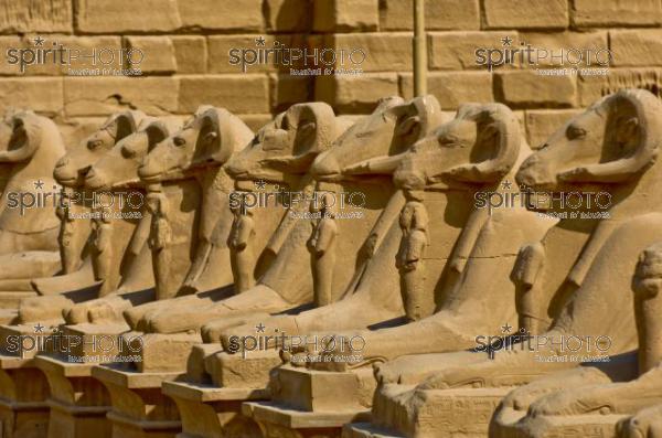 Egypte-Temple de Karnak (JBNADEAU_00757.jpg)