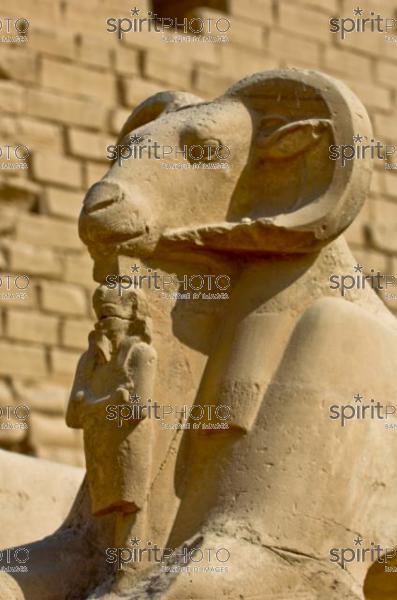 Egypte-Temple de Karnak (JBNADEAU_00758.jpg)