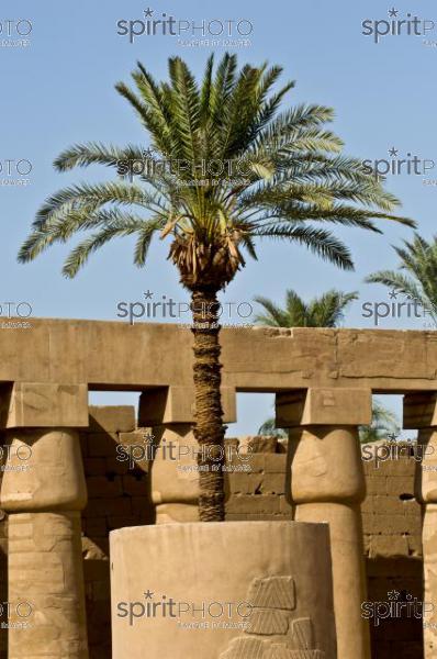 Egypte-Temple de Karnak (JBNADEAU_00759.jpg)