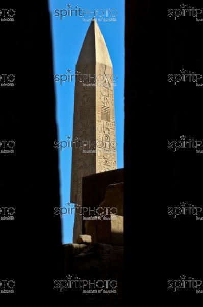 Egypte-Temple de Karnak (JBNADEAU_00765.jpg)