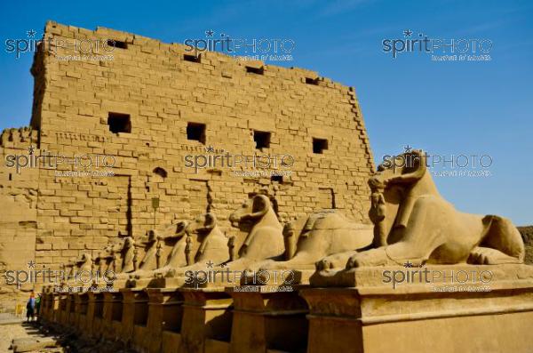 Egypte-Temple de Karnak (JBNADEAU_00793.jpg)