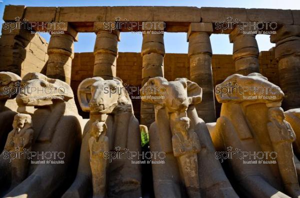 Egypte-Temple de Karnak (JBNADEAU_00794.jpg)