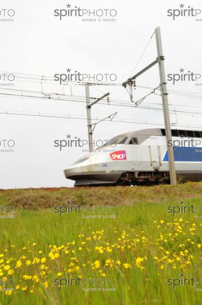 TGV-Paris-Bordeaux (JBNADEAU_01140.jpg)