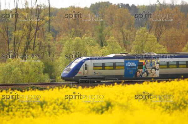 TER traversant la rgion de Poitiers (JBNADEAU_01141.jpg)