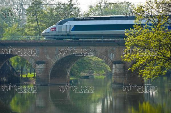TGV - Transport (JBNADEAU_01145.jpg)