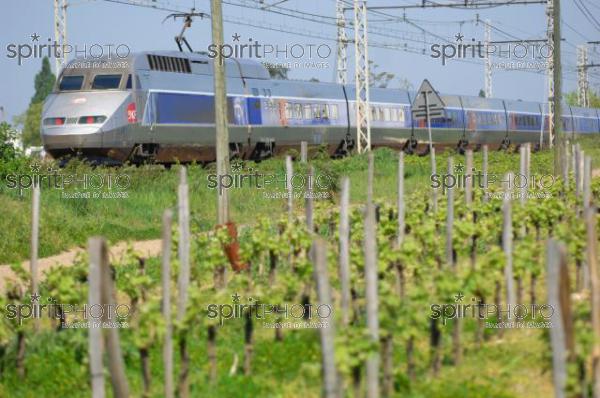 TGV-Paris-Bordeaux traversant le Vignoble de Pomerol (JBNADEAU_01154.jpg)