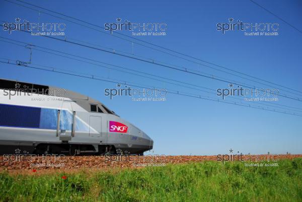 TGV - Transport (JBNADEAU_01160.jpg)